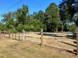 8550 Julius Street - Photo 3