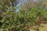 5912 Cansler Drive - Photo 46