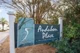 0 Audubon Place - Photo 4