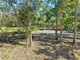 10694 County Road 1 Road - Photo 9