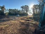0 Dauphin Island Parkway - Photo 3