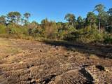 0 Dauphin Island Parkway - Photo 6