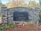 1125 Celeste Springs Drive - Photo 1