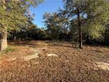 1125 Celeste Springs Drive - Photo 4