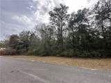 0 Timber Springs Drive - Photo 2