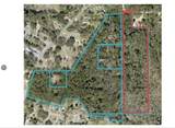 2210 Wolf Ridge Road - Photo 2