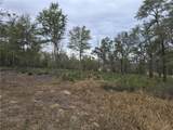 3296 Spartan Drive - Photo 4