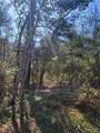 0 Lawrence Steiner Road - Photo 4