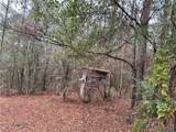 4699 Lambert Cemetery Road - Photo 13