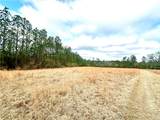 4699 Lambert Cemetery Road - Photo 9