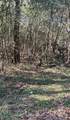 0 Cary Hamilton Road - Photo 1