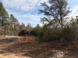 0 Harmon Williams Road - Photo 3