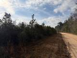 0 Harmon Williams Road - Photo 4