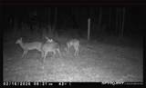 0 Harmon Williams Road - Photo 8
