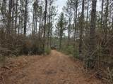 0 Chunchula Landfill Road - Photo 2