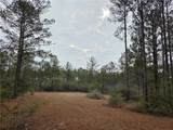 0 Chunchula Landfill Road - Photo 5