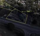 0 Schillinger Road - Photo 1