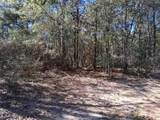 0 Williamson Road - Photo 2