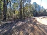 0 Williamson Road - Photo 3