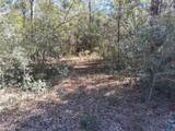 0 Williamson Road - Photo 4