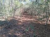 0 Williamson Road - Photo 5