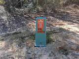 0 Williamson Road - Photo 6