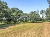 9749 John Paul Road - Photo 38