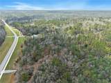 33521 Jimmy Faulkner Drive - Photo 10