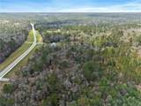 33521 Jimmy Faulkner Drive - Photo 11