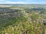 33521 Jimmy Faulkner Drive - Photo 14