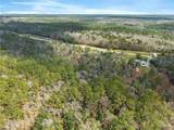 33521 Jimmy Faulkner Drive - Photo 17