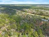 33521 Jimmy Faulkner Drive - Photo 18