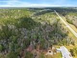 33521 Jimmy Faulkner Drive - Photo 20