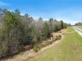 33521 Jimmy Faulkner Drive - Photo 22