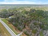 33521 Jimmy Faulkner Drive - Photo 6