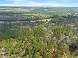 33521 Jimmy Faulkner Drive - Photo 9