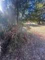 317 Magnolia Drive - Photo 11