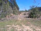 0 Old Citronelle Highway - Photo 1