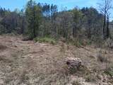 0 Old Citronelle Highway - Photo 11