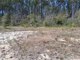 0 Old Citronelle Highway - Photo 16