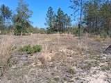 0 Old Citronelle Highway - Photo 17