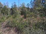0 Old Citronelle Highway - Photo 22