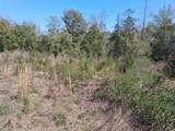 0 Old Citronelle Highway - Photo 24