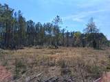 0 Old Citronelle Highway - Photo 27
