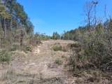 0 Old Citronelle Highway - Photo 5