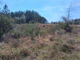 0 Old Citronelle Highway - Photo 6