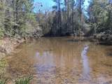 0 Old Citronelle Highway - Photo 9