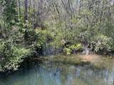 0 Old Pascagoula Road - Photo 1