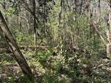 0 Old Pascagoula Road - Photo 7