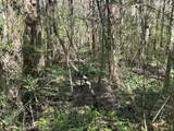 0 Old Pascagoula Road - Photo 8